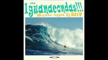 Iguanacondas - Platitudes