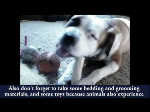Animal Emergency Preparedness