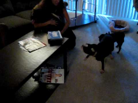 Tyson Lucy Suzy