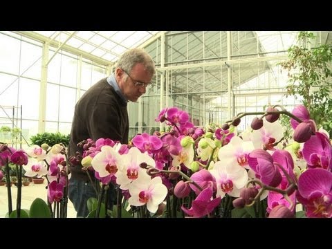 المساحات الخضراء الفرنسية تفتقد الى العمال