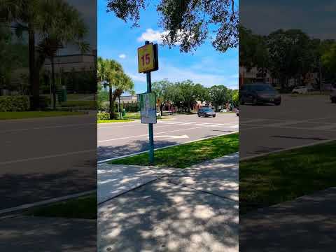 #orlando #florida is so beautiful #jamaicawalkby