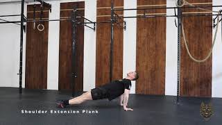 Shoulder Extension Plank