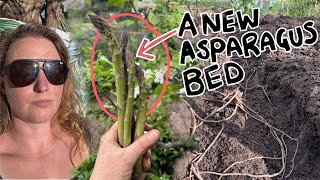Growing Asparagus is SO easy! It just takes a while | 6 years of VLOGGING! Ep 314 || Plot 37
