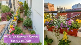Summer Planters Idea For A Part-Shade Balcony