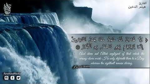تلاوة جميلة جدا نبرة صوت فريدة تدخل الى القلوب ❤ خشوع رهيب وإبداع فوق الخيال Surah ibrahim Full