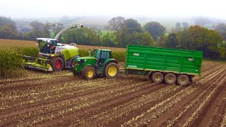 Michael Ryan & Son Contracting - Cutting Maize With A Claas Jaguar 950