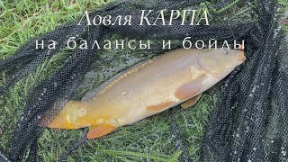 :         |  2025 # # # # #fishing