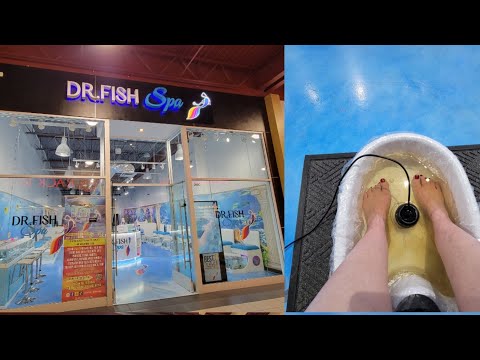 Dr.fish Store