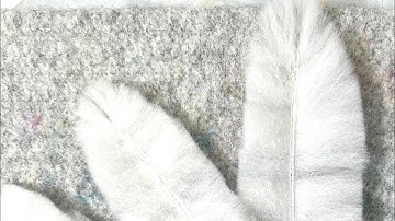 Feather Tutorial Type 2