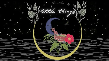 Sierra Lane "Little Things"