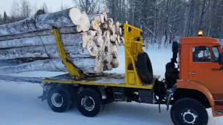 Вывозка леса в хлыстах. Томская область, Первомайский район. 2017 год.