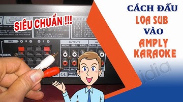Bạn biết bao nhiêu cách đấu loa sub karaoke vào amply karaoke 2 kênh đúng kỹ thuật? - 0902699186