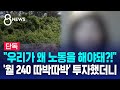 [단독] "우리가 왜 노동을 해야돼?!"..'월 240 따박따박' 투자했더니 / SBS 8뉴스
