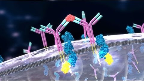 MSPrecise for Multiple Sclerosis Detection - 3D Medical Animation