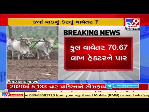 Total sowing figure exceeds 70.67 lakh hectares across Gujarat, know the details | TV9News