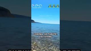 Воспоминания о море 🌊#настроение #отдых #море #пляж #юмор #волна #прибой #shorts #andrast