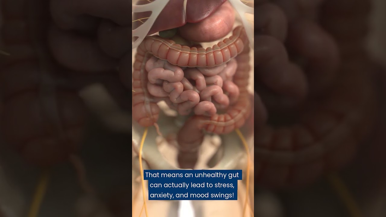 The Strange Connection Between Your Stomach and Your Mood