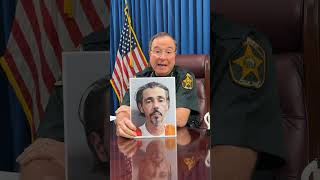 Morning Briefing September 4, 2025: Felony dumping Net Worth