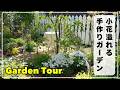 【うたたねガーデンの今】季節の花を眺めながら庭を歩きます。