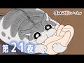 アニメ『夜は猫といっしょ』第21夜「ネコが噛んできた」