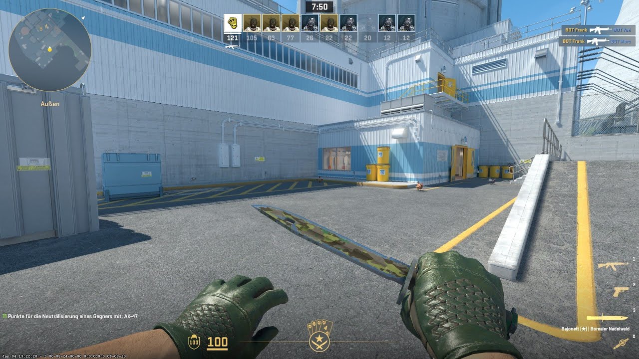 ★ Bayonet | Boreal Forest (field-tested) | ★ Driver Gloves | Racing Green (field-tested) CS2