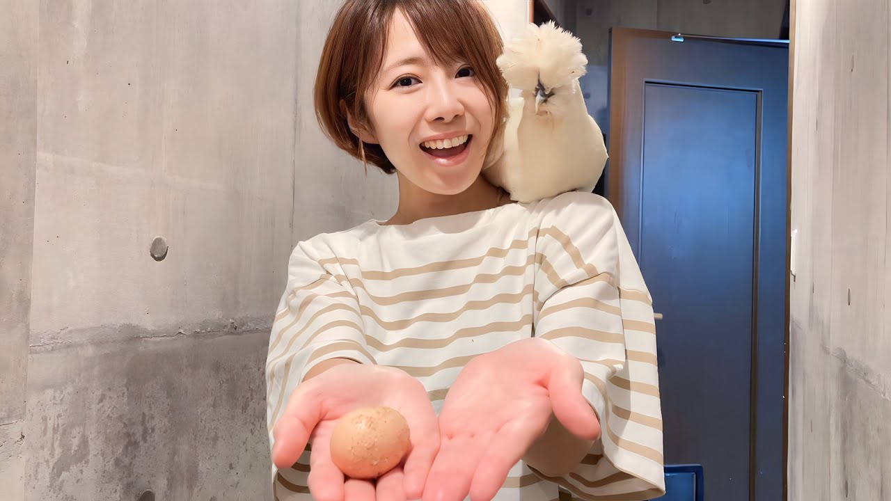 烏骨鶏のせせりが初めて卵を産みました！