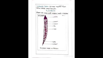 HSC 2021 Biology Assignment 5th week || Hsc জীববিজ্ঞান অ্যাসাইনমেন্ট পঞ্চম সপ্তাহ || #hsc_biology