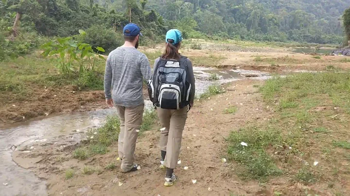 Butterflies in Phong Nha (Hang En trek with Oxalis...