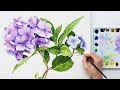 How to paint realistic Hydrangea flowers in watercolour with Anna Mason