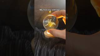 She put her Cat in our crystal ball 😭