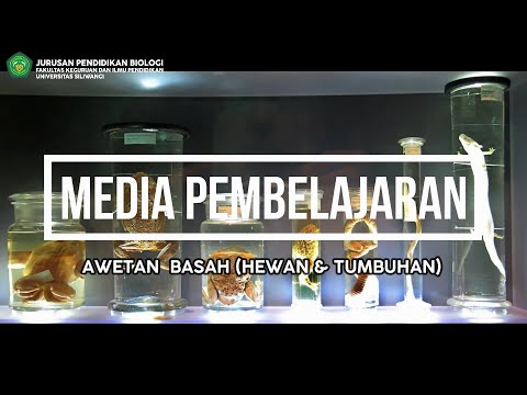 MK Media Pembelajaran - Awetan Basah