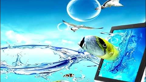 𝔀𝓮𝓫2 0𝓰𝓵𝓸𝓼𝓼