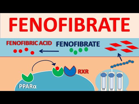 Video: „Fenofibrate“: šalutinis Poveikis, Dozavimas, Naudojimas Ir Dar Daugiau