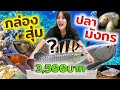 สุ่มปลามังกร!!! ในงบ 3,500บาท... จะได้ปลามังกรซุปเปอร์เรดไหม???