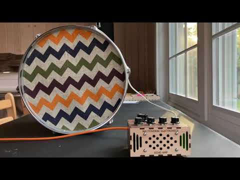 Echo Amp Prototype - Quick External Speaker Demo - Mattoverse Electronics