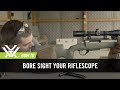 How to bore sight your rifle