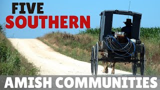 5 Amish Communities in the South