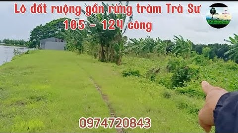 Lô đất ruộng gần Khu du lịch rừng tràm Trà Sư | 1xxtr/công | Nhà đất Tịnh Biên - An Giang