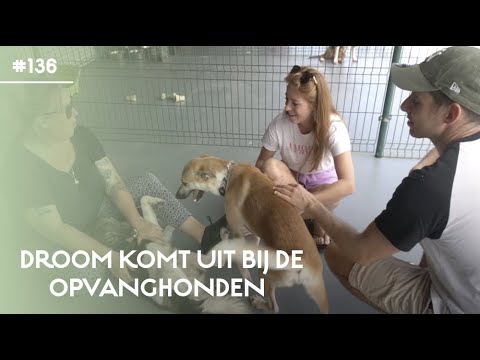 Video: Waar kun je naartoe vliegen vanuit Santa Rosa?