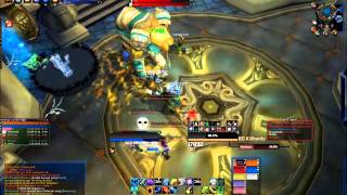 Auriaya Crazy Cat Lady 10m