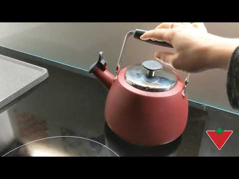 paderno electric kettle