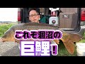 石くんの鯉釣り40涸沼の巨鯉編！ の動画、YouTube動画。