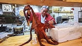業務スーパーで買ったもので簡単料理 たこぶつ１ｋｇで６品作ります たこ料理 Youtube