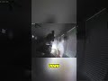 Deer Encounter: Police Interaction Goes Viral! #shorts