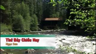 Karaoke Thứ Bảy Chiều Nay - Ngọc Sơn