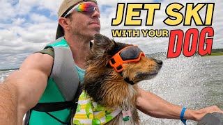 How to Jet Ski with a DOG - Best Accessories for JET SKI and DOG