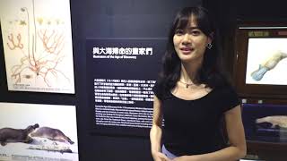 【百年手繪美學—博物探險熱潮下的自然探索】