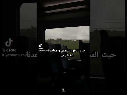 تلك الأيام الدافئة كالجلد خواطر مطر شتاء Tomadir Voices