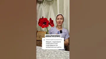 СТРЕСС ПРОВОЦИРУЕТ ЦВЕТЕНИЕ #flowers #garden #цветы