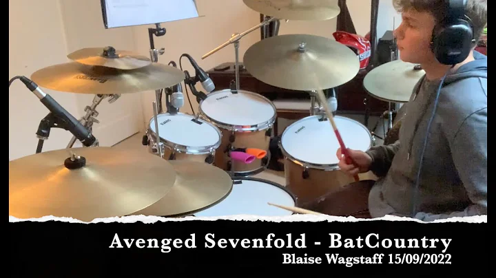 Batcountry - Avenged Sevenfold COVER - Blaise Wags...